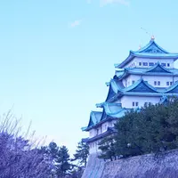 名古屋城の写真・動画_image_225790