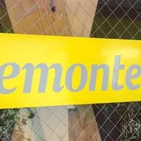 レモンティーの写真・動画_image_225824