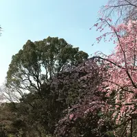 六義園の写真・動画_image_225844