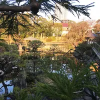 目白庭園の写真・動画_image_225875