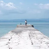 西桟橋の写真・動画_image_226302