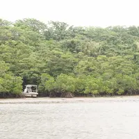 西表島の写真・動画_image_226315