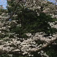 代々木公園の写真・動画_image_226481