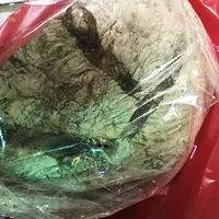 ラトリエ・デュ・パンの写真・動画_image_226534