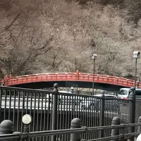 神橋の写真・動画_image_226571