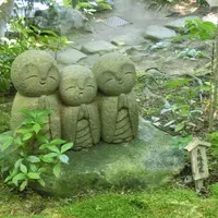 長谷寺の写真・動画_image_226678