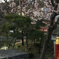 鶴岡八幡宮の写真・動画_image_226679