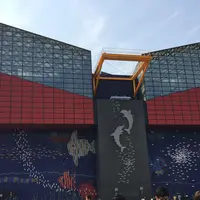 海遊館の写真・動画_image_226717