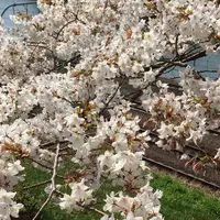 外濠公園の写真・動画_image_226924