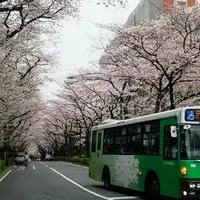 光が丘の写真・動画_image_227165