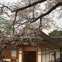 名古屋城の写真・動画_image_227441