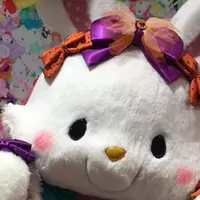 サンリオピューロランドの写真・動画_image_227513