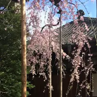 伝法院の写真・動画_image_227599