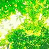 上用賀公園の写真・動画_image_227603