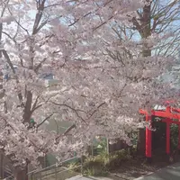 赤城神社の写真・動画_image_227680