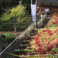 袋田の滝の写真・動画_image_227754