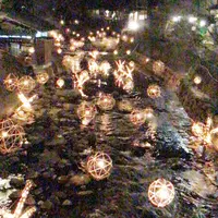 田の原川の写真・動画_image_227784
