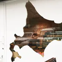 チーズのこえの写真・動画_image_227818