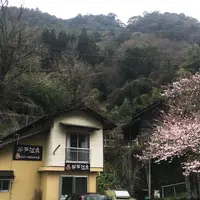 折戸温泉の写真・動画_image_227864