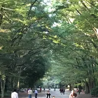 糺ノ森の写真・動画_image_228107