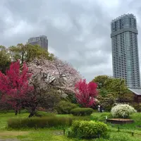 浜離宮恩賜庭園の写真・動画_image_228150
