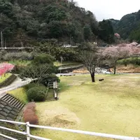 耶馬渓ダムスポーツ公園の写真・動画_image_228229