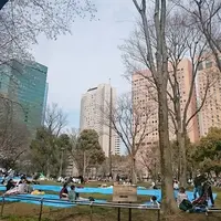 新宿中央公園の写真・動画_image_228242