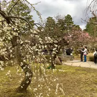 兼六園の写真・動画_image_228474