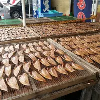 沼津港飲食店街の写真・動画_image_228604