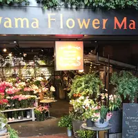 青山フラワーマーケット ティーハウス 南青山本店 （Aoyama Flower Market TEA HOUSE）の写真・動画_image_228730