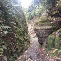 名越切通・第1切通の写真・動画_image_229005