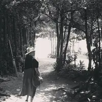 備瀬のフクギ並木の写真・動画_image_229086