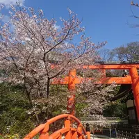 下鴨神社（賀茂御祖神社）の写真・動画_image_229191