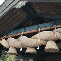出雲大社の写真・動画_image_229211
