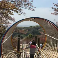 種松山公園西園地の写真・動画_image_229546