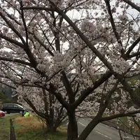 種松山の写真・動画_image_229547