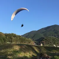 太祖宮の写真・動画_image_229681