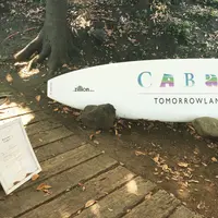 CABAN（カボン）の写真・動画_image_229862