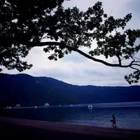 十和田湖の写真・動画_image_230153