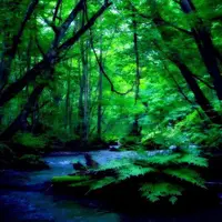 奥入瀬渓流　　の写真・動画_image_230156