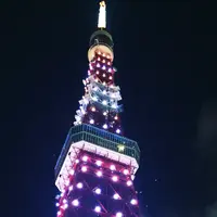 東京タワーの写真・動画_image_230228