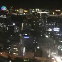 東京タワーの写真・動画_image_230229