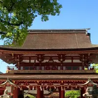 太宰府天満宮の写真・動画_image_230246