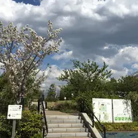 目黒天空庭園の写真・動画_image_230282