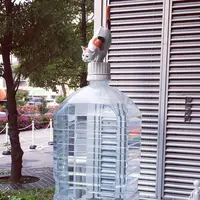 勝どき駅の写真・動画_image_230871