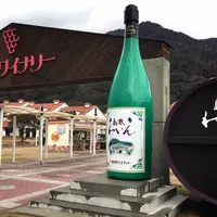 島根ワイナリーの写真・動画_image_230986