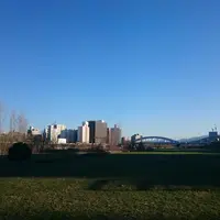 豊平川の写真・動画_image_231020