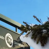 北海道大学の写真・動画_image_231074