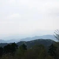高尾山の写真・動画_image_231603
