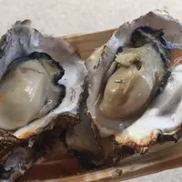 みやじま華屋敷の写真・動画_image_232488